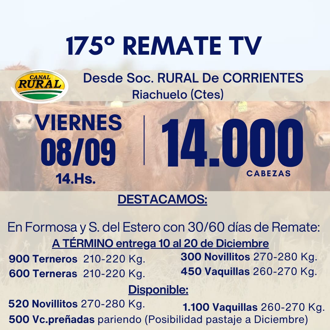 Afiche TV - 175