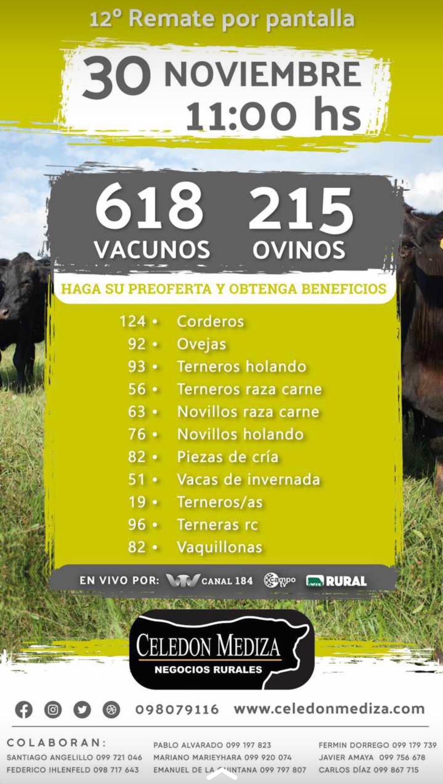 Afiche 12° Remate por Pantalla