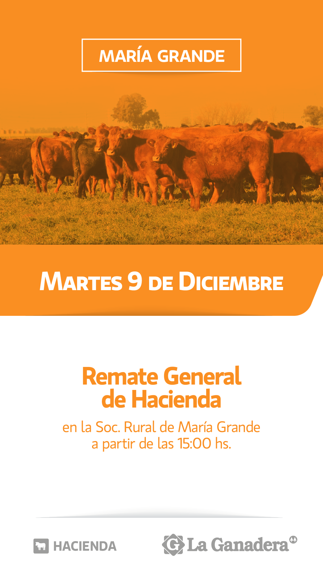 REMATE FERIA EN SOCIEDAD RURAL MARIA GRANDE