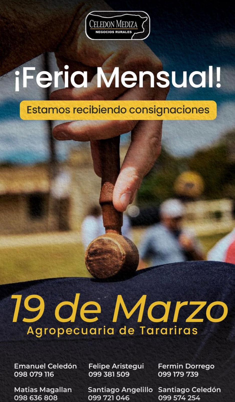 Feria Celedon Mediza