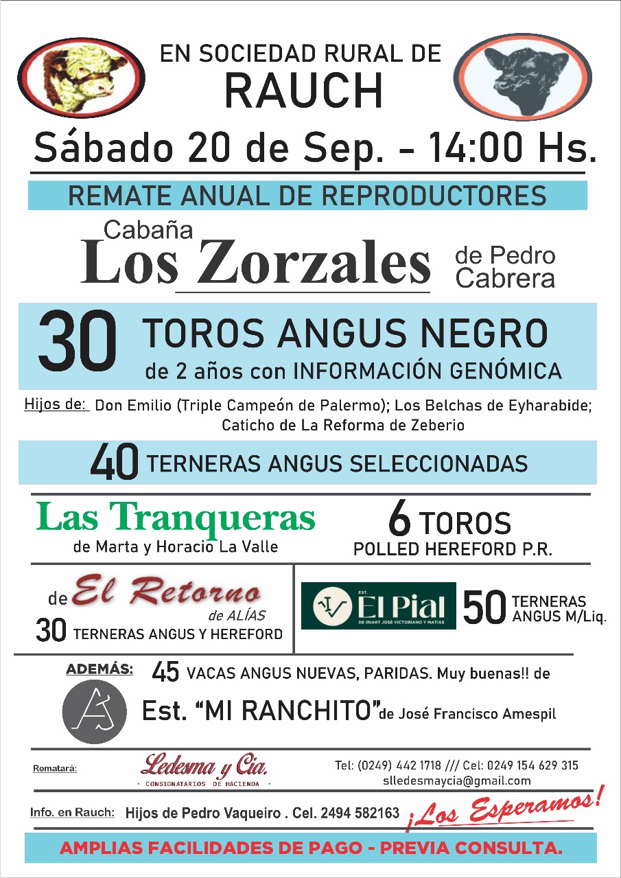 Remate 20 de Septiembre - Rauch