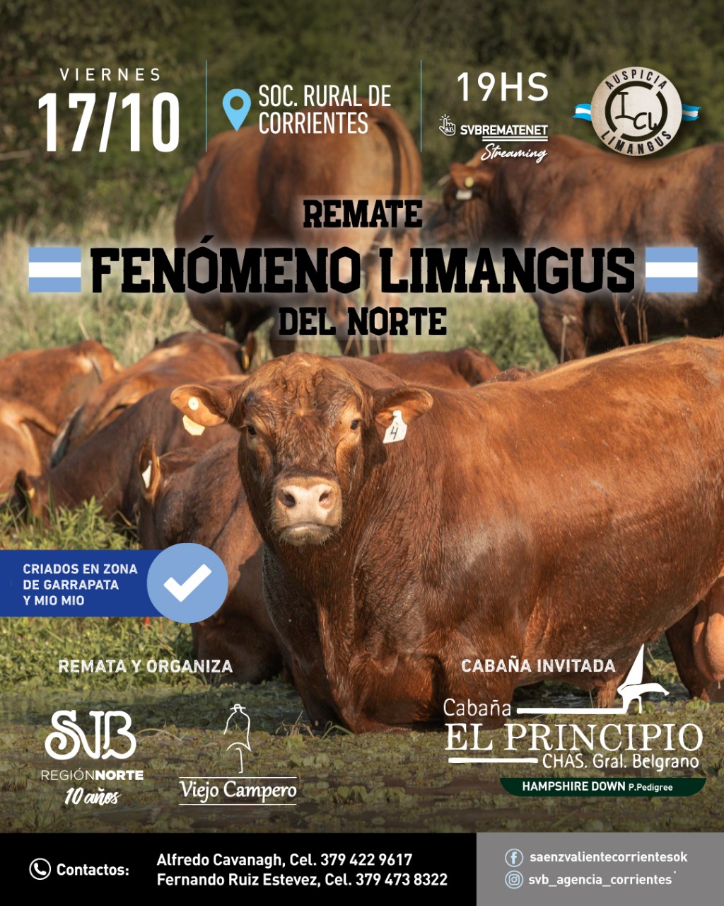 Fenómeno Limangus