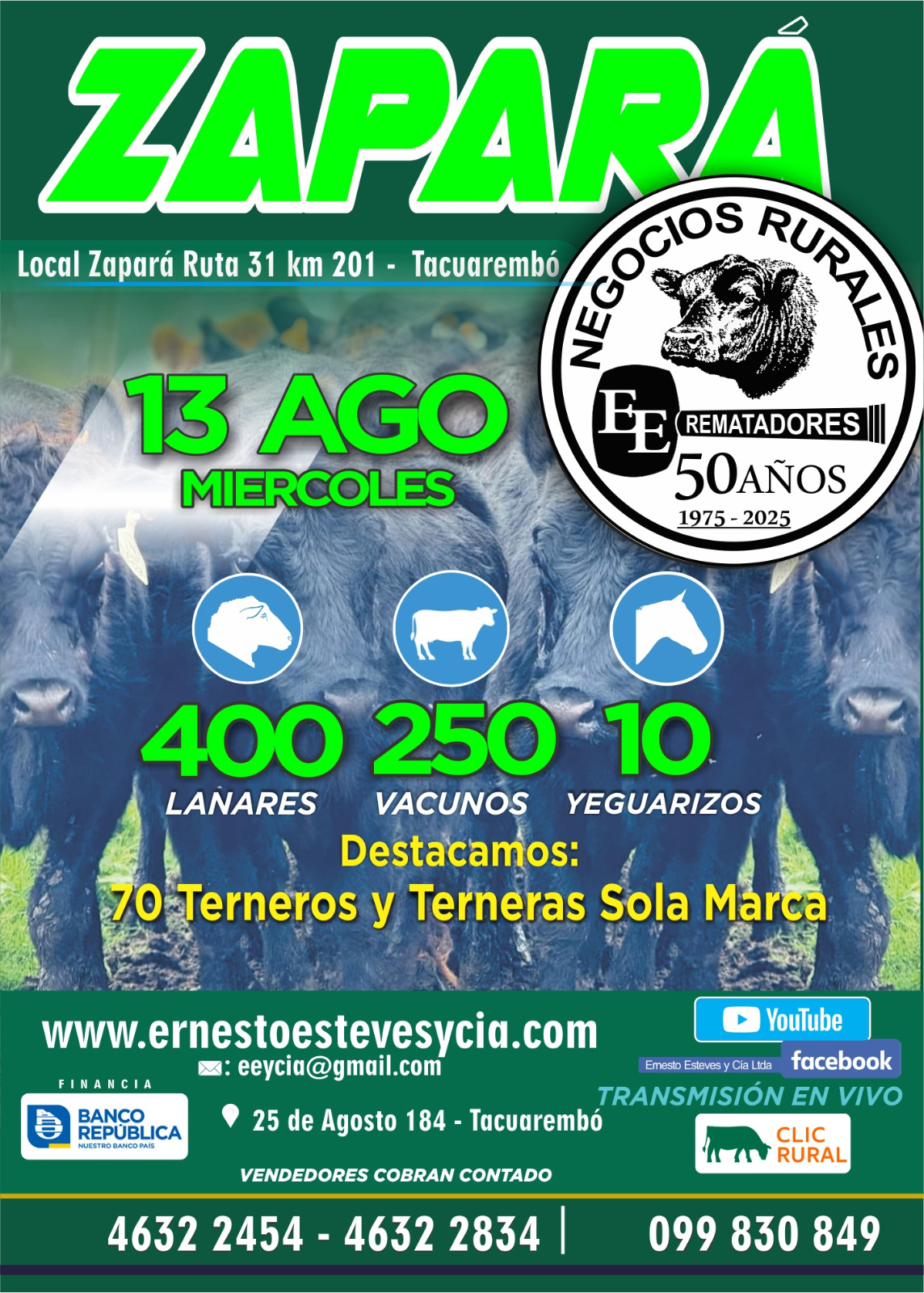 Afiche Feria mensual - Zapará