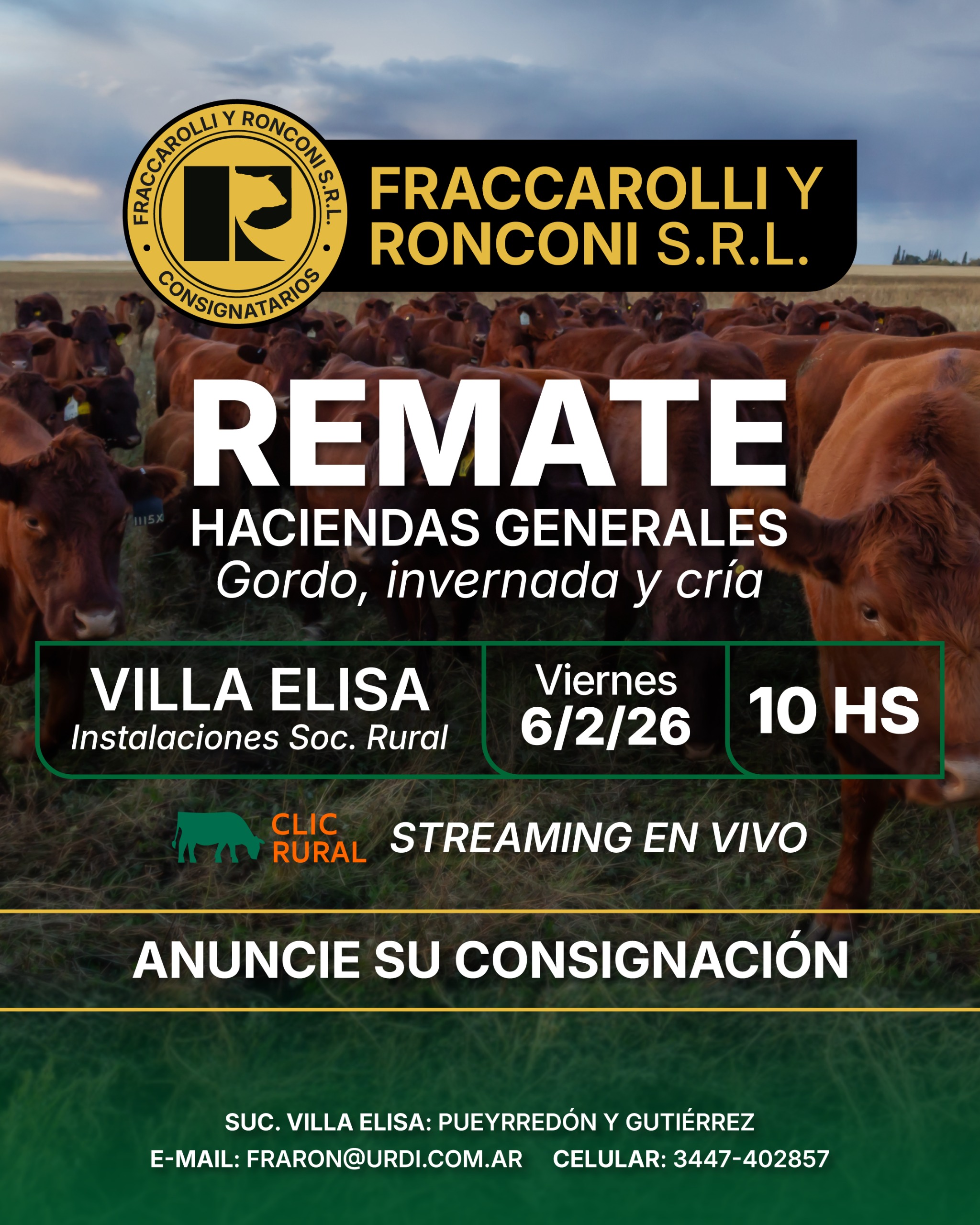 Remate 06 de Febrero - Villa Elisa