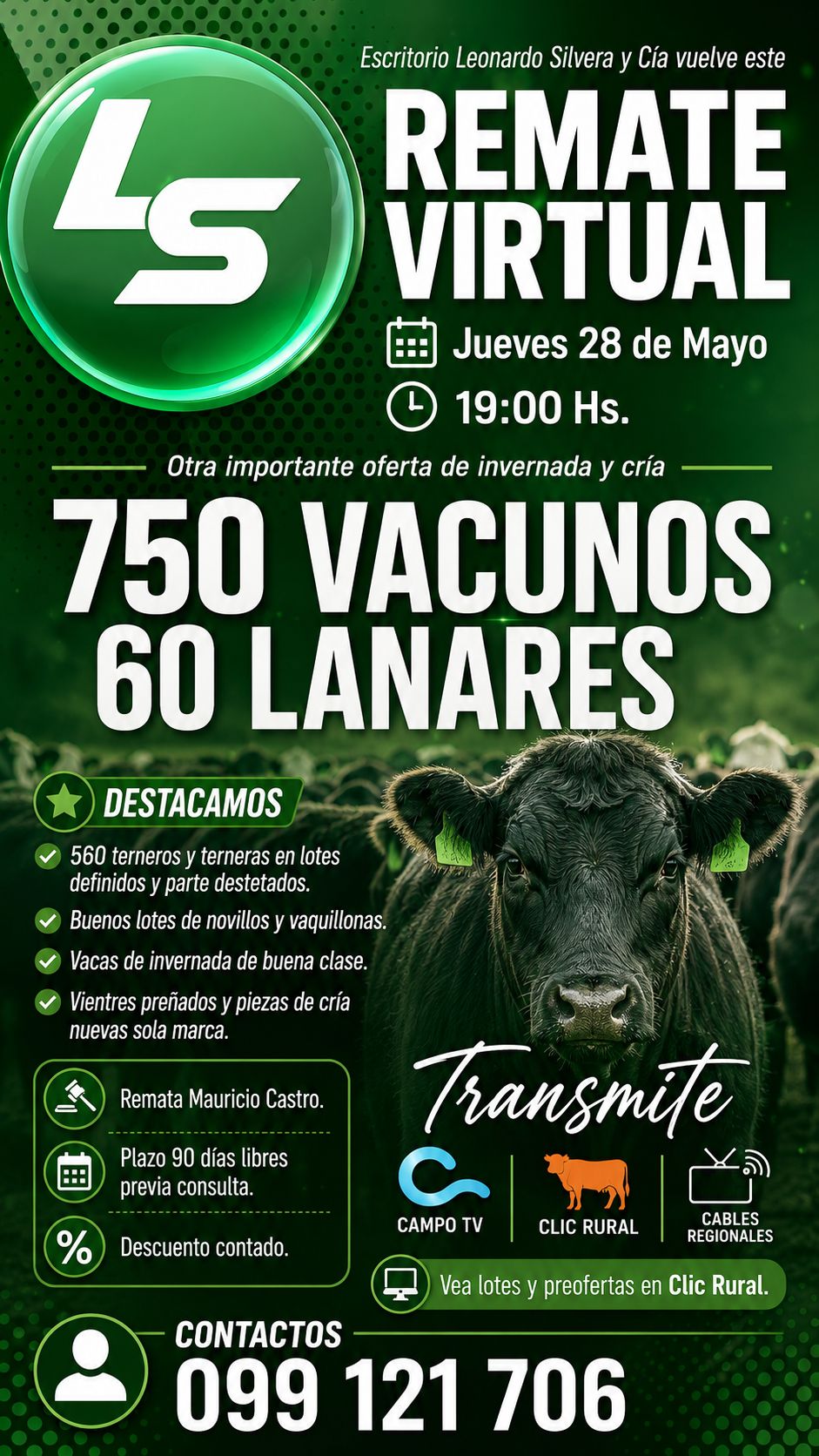 Remate Virtual - Leonardo Silvera