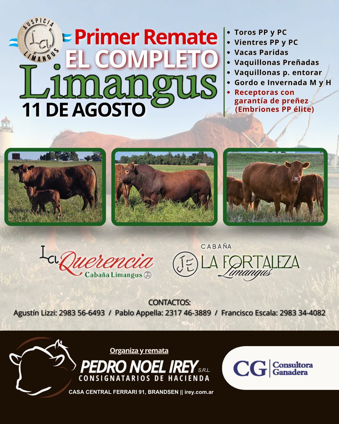 Remate Primer remate "El completo" Limangus