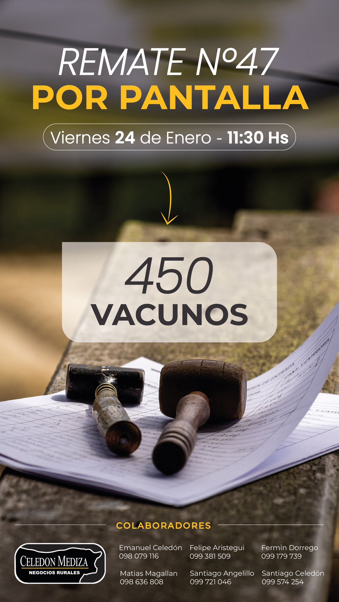 Afiche 47º Remate por Pantalla