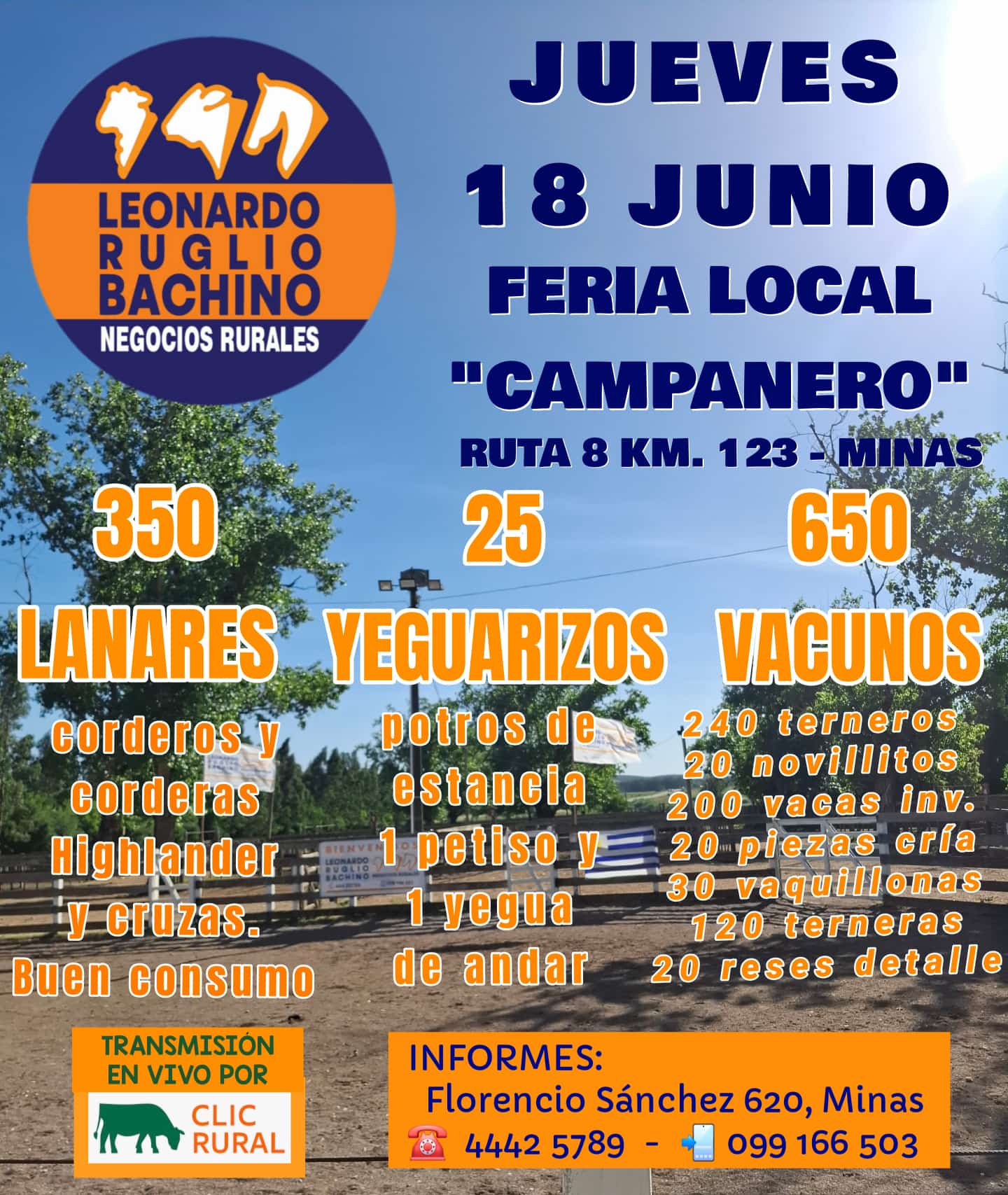 Afiche Feria Mensual - Leonardo Ruglio Bachino
