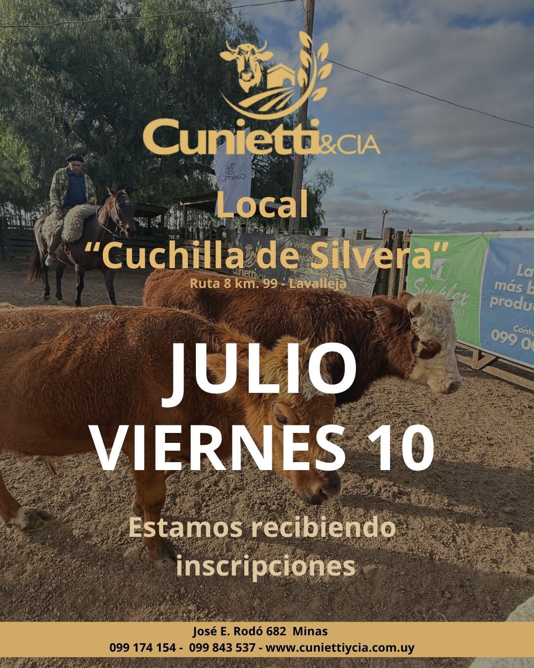 Feria mensual - Cunietti y Cia
