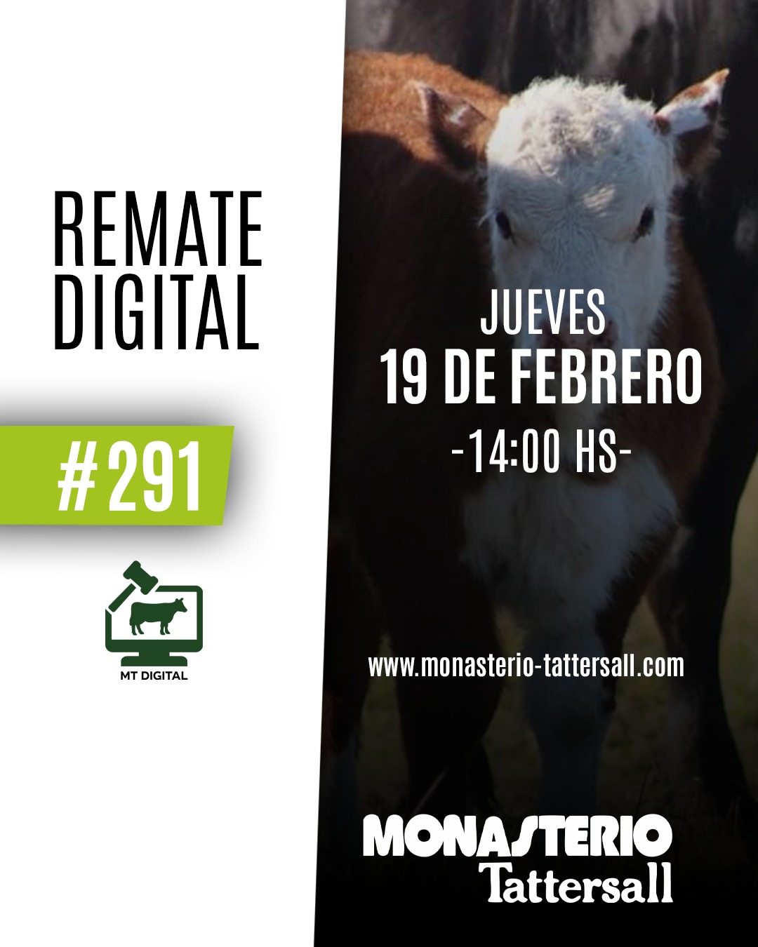Remate Remate digital 291°