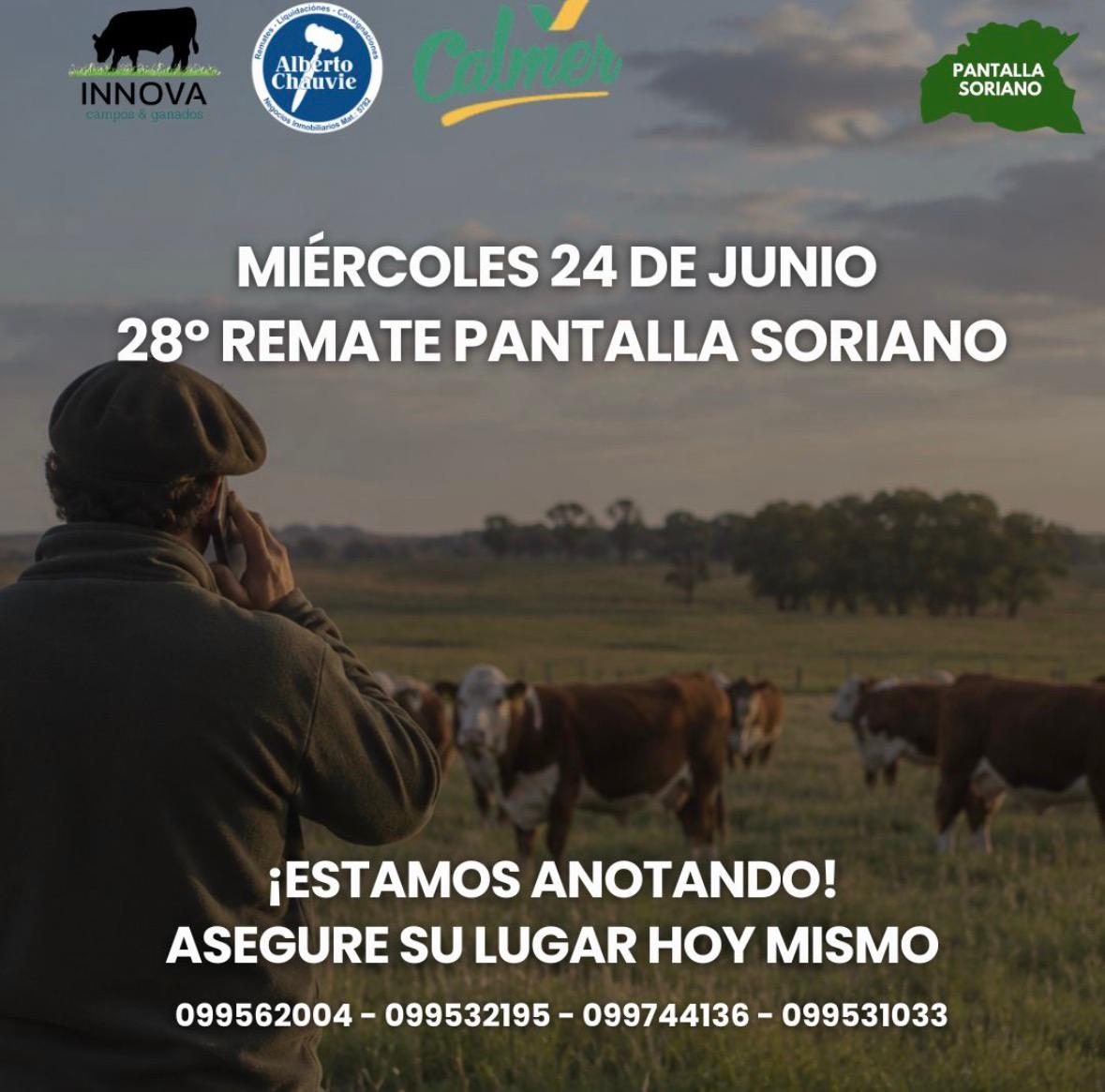 Remate 28ª Pantalla Soriano