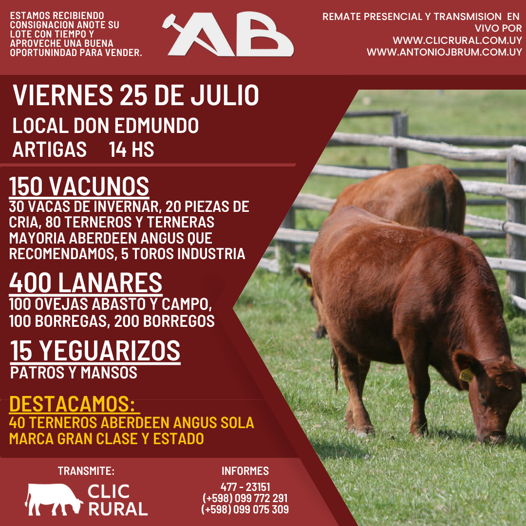 Afiche