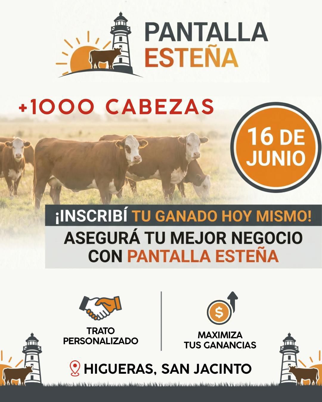 Afiche Pantalla Esteña