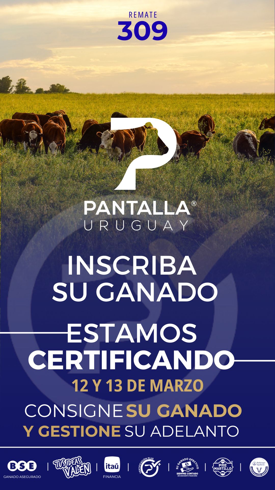 309º remate Pantalla Uruguay