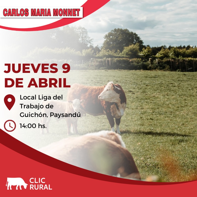 Feria Mensual - Guichon