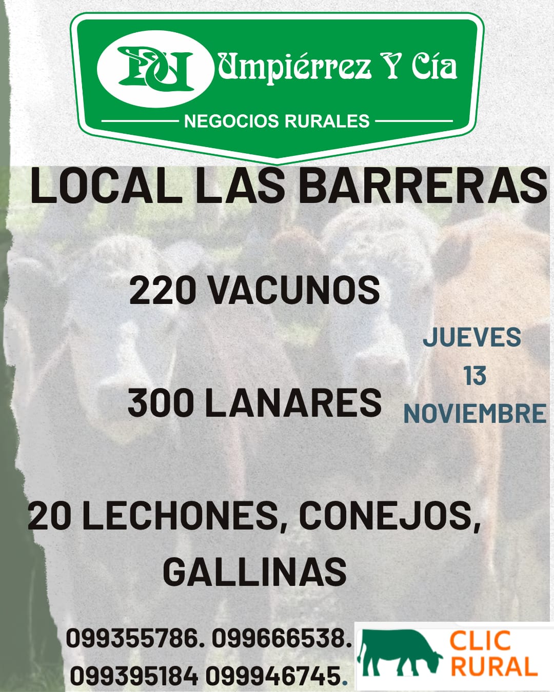 Remate Feria Mensual - Las Barreras