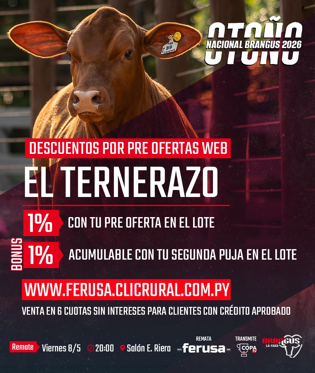Remate Ternerazo – Nacional Brangus Otoño