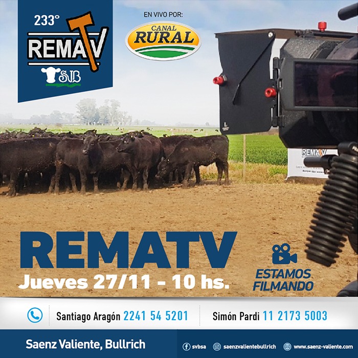 233° RematV