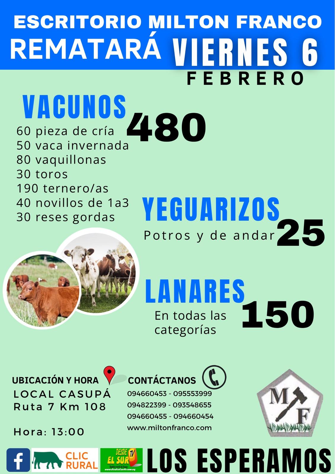 Feria Mensual - Milton Franco