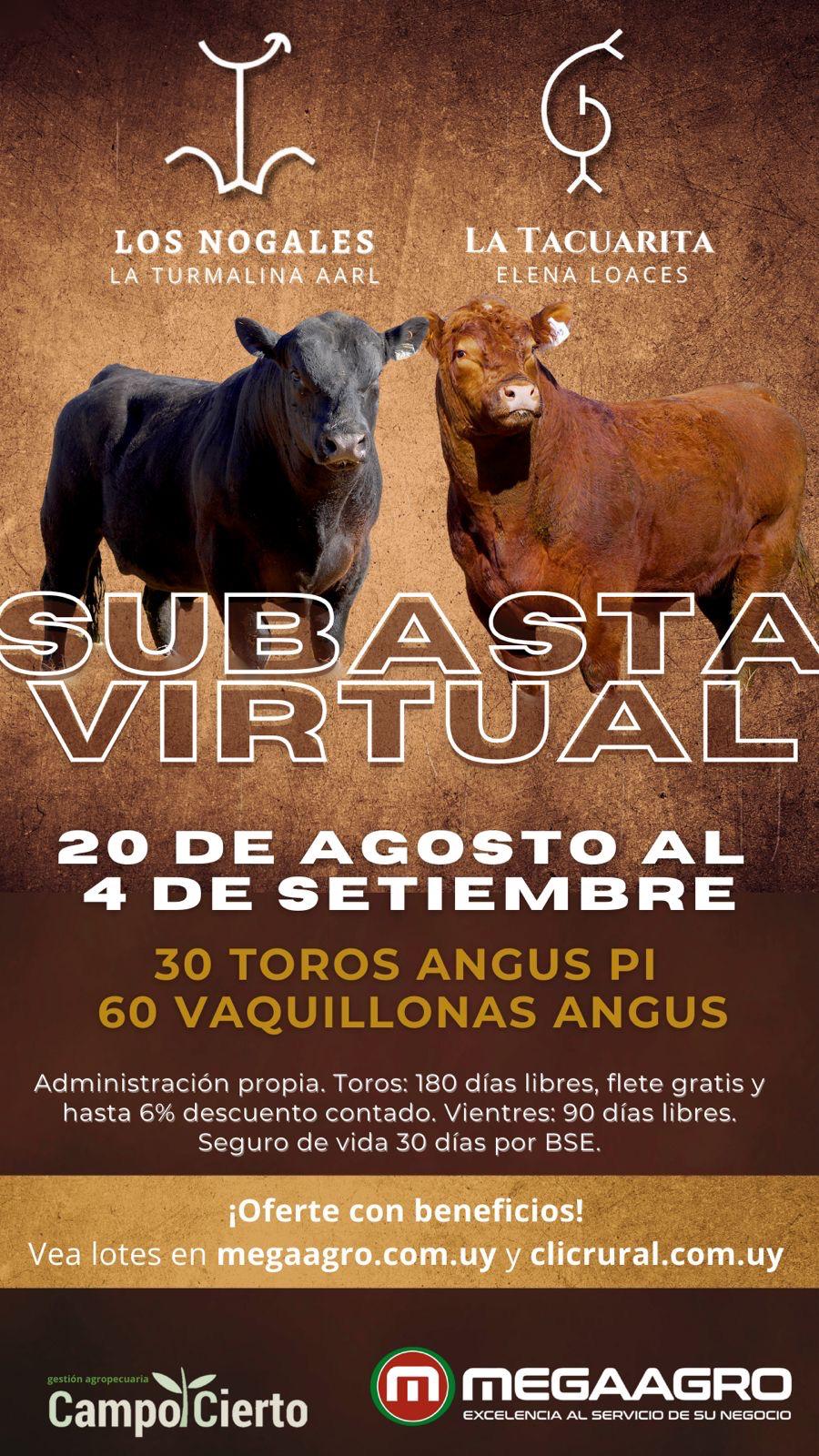 Afiche Subasta Virtual - Cabañas Los Nogales y La Tacuarita