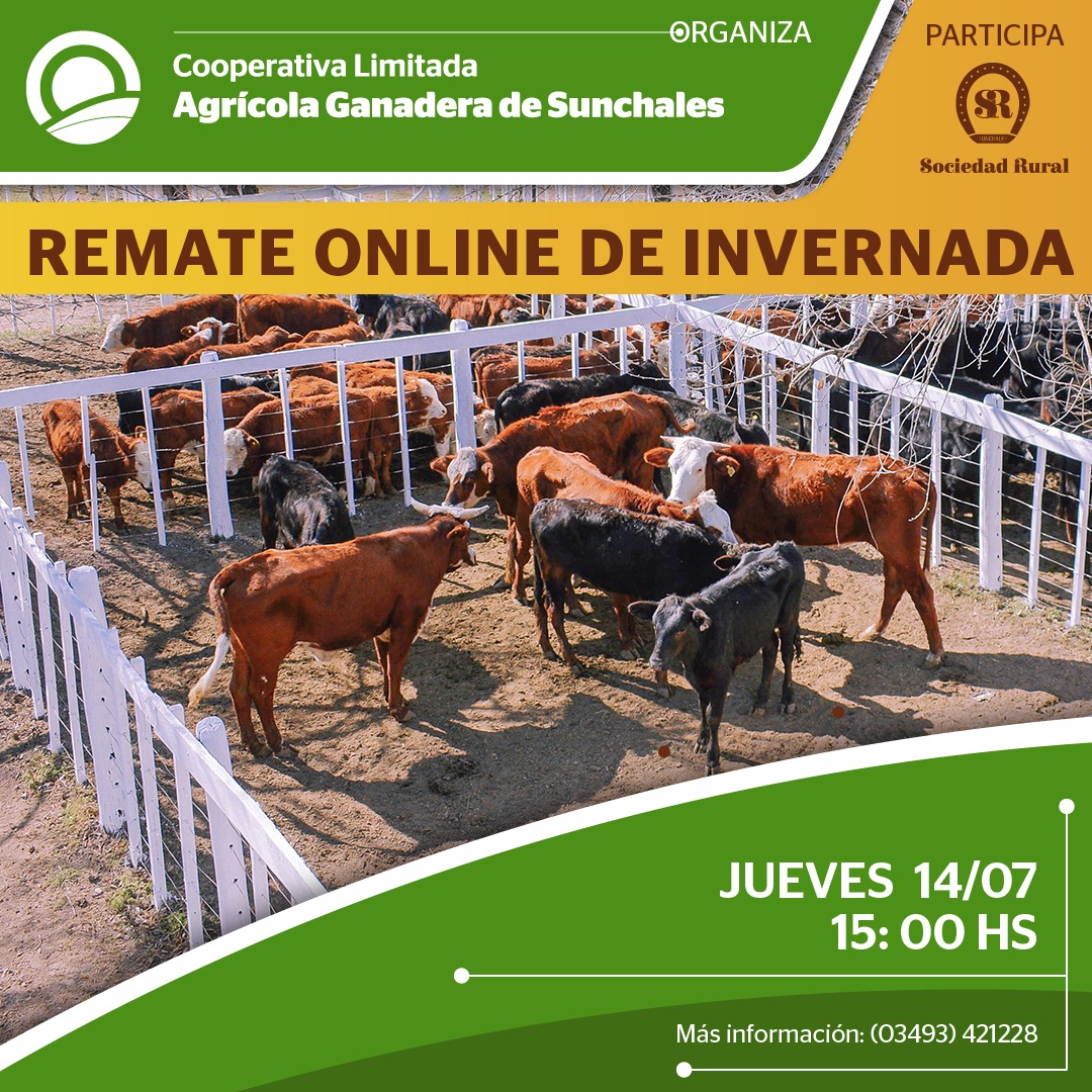Afiche 13° Remate Virtual