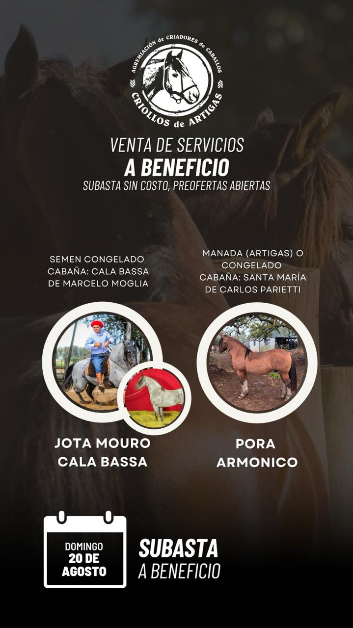 Afiche Remate de servicios a beneficio