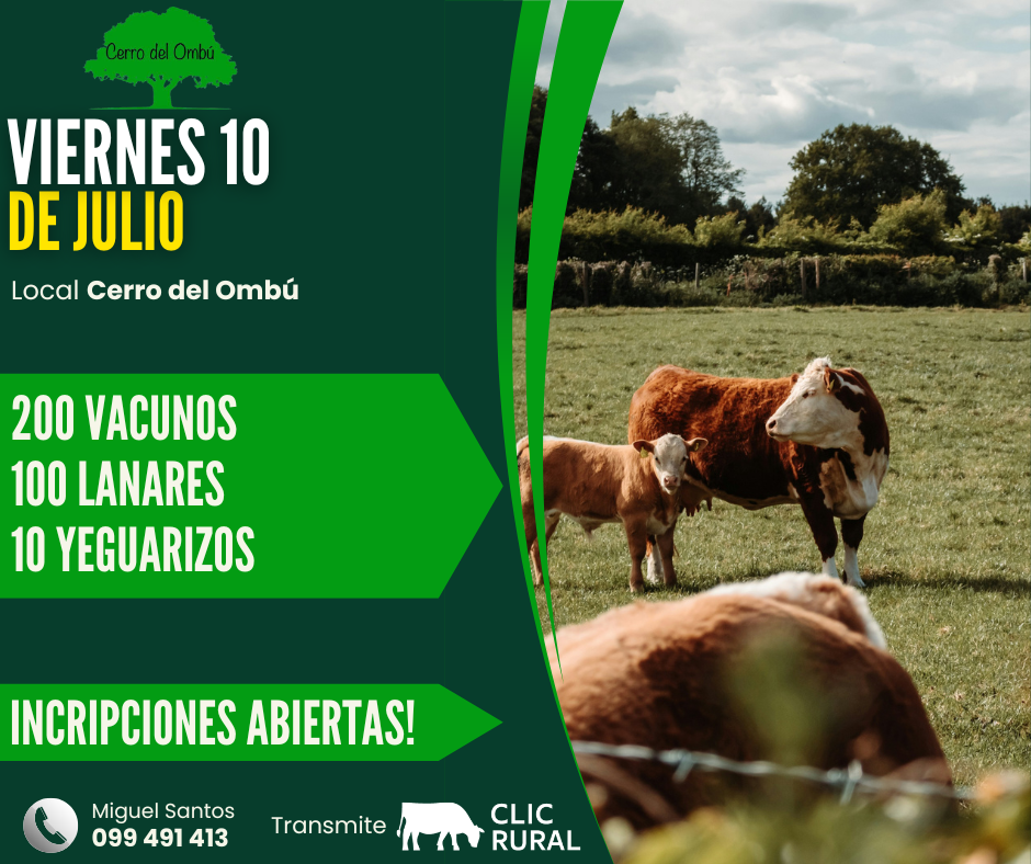 Remate Feria mensual - Cerro del Ombu