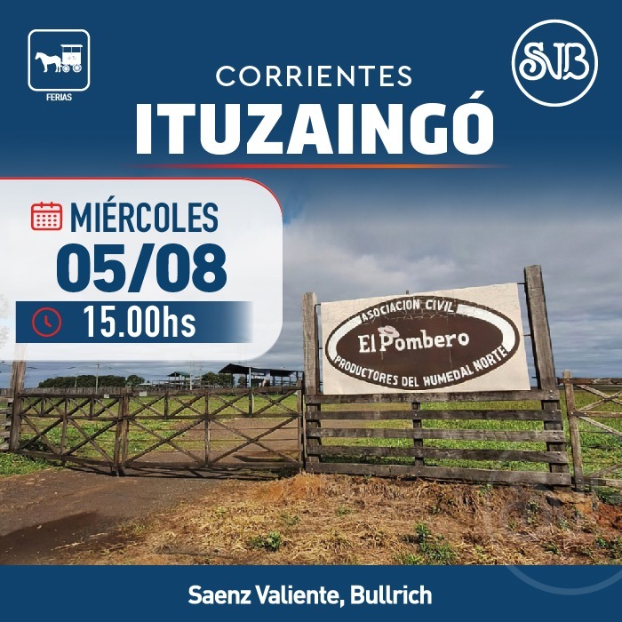 Afiche Feria en Ituzaingó