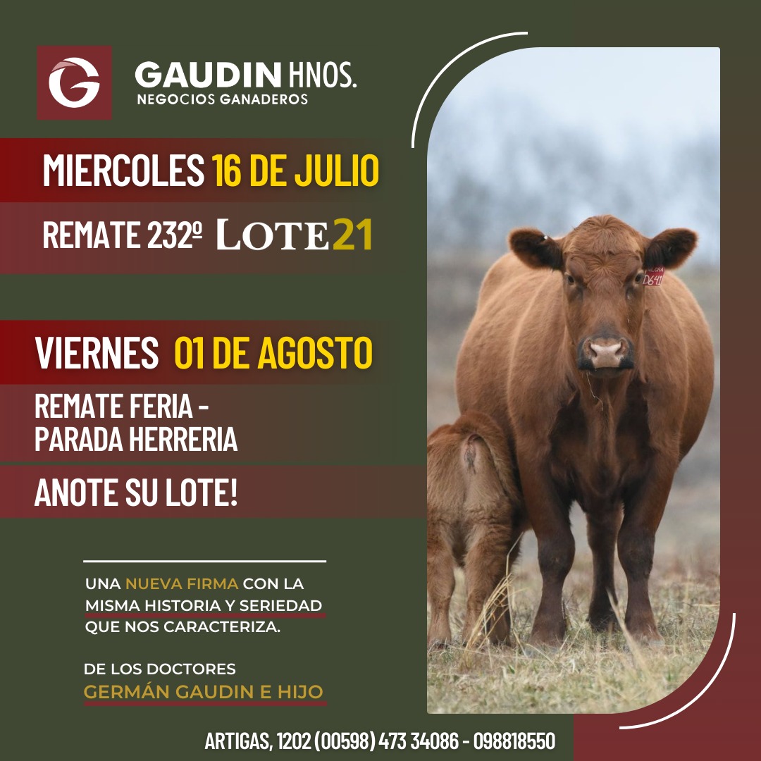 Remate Remate feria