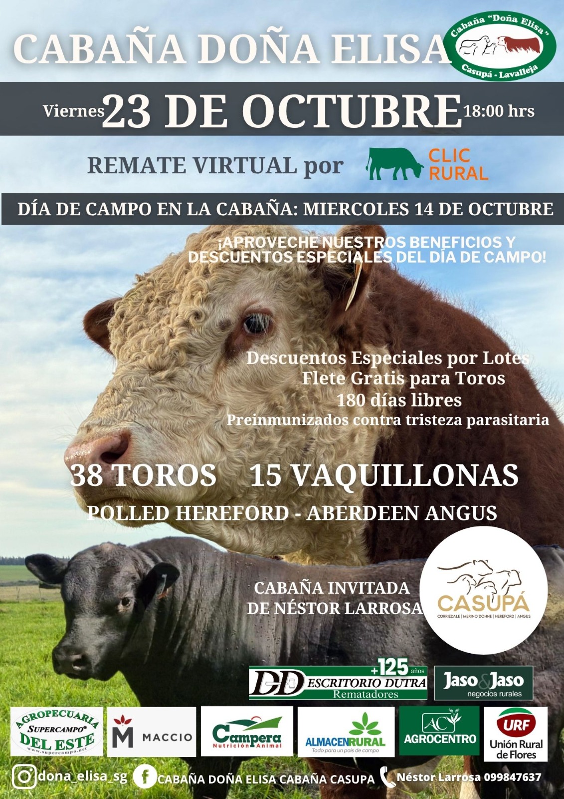 Afiche Doña Elisa