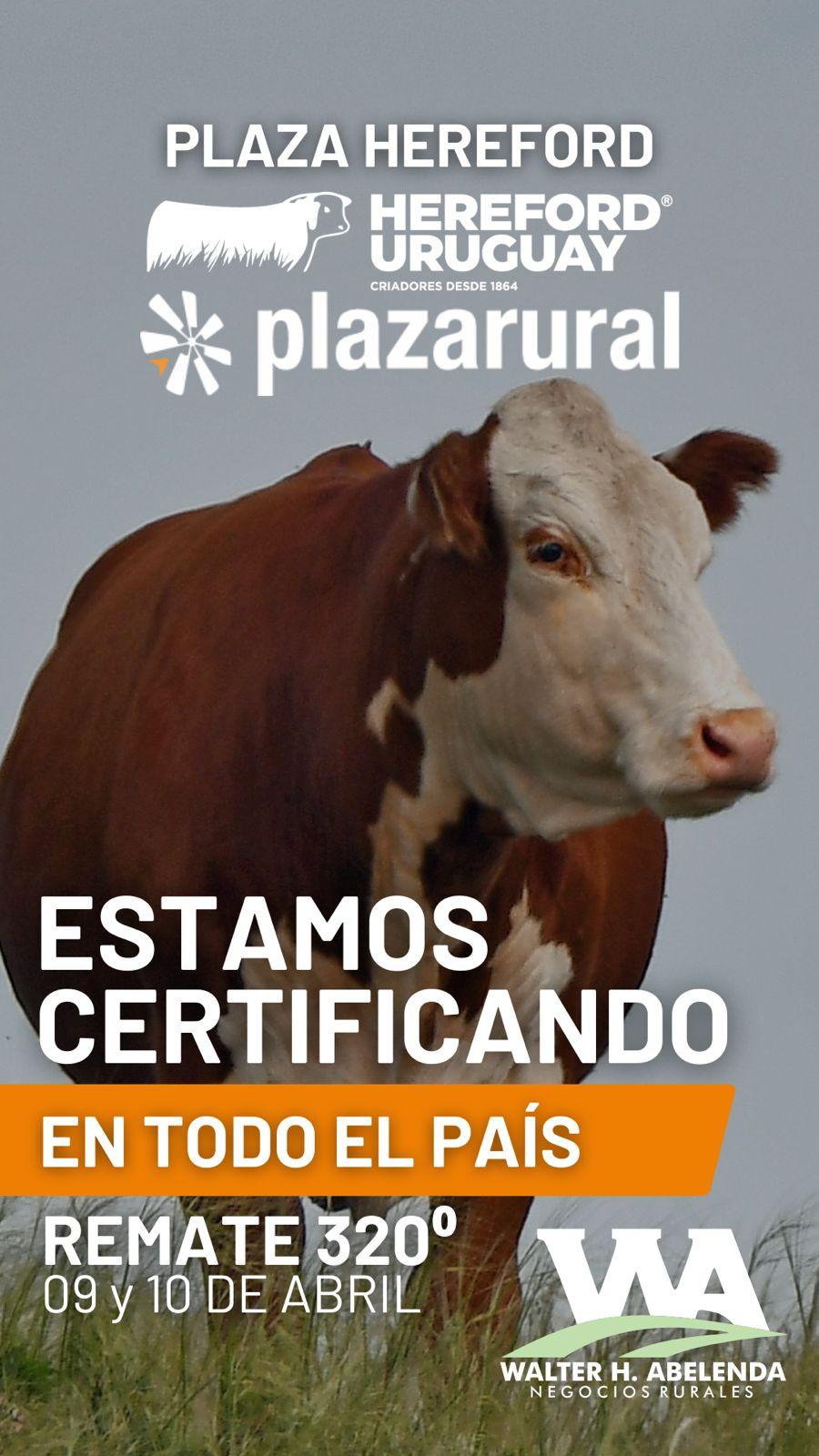 320º remate Plaza Rural