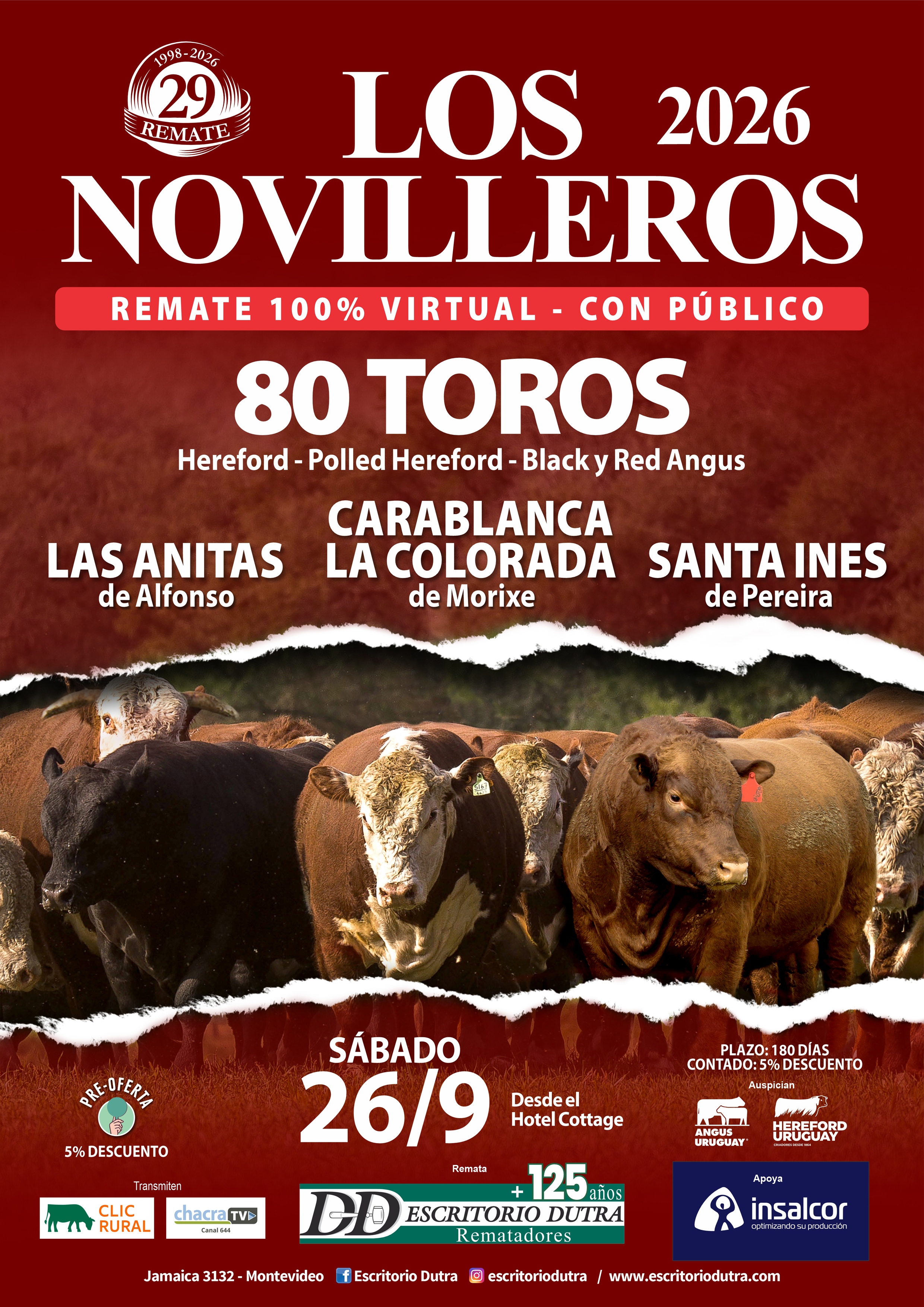 Afiche Los Novilleros