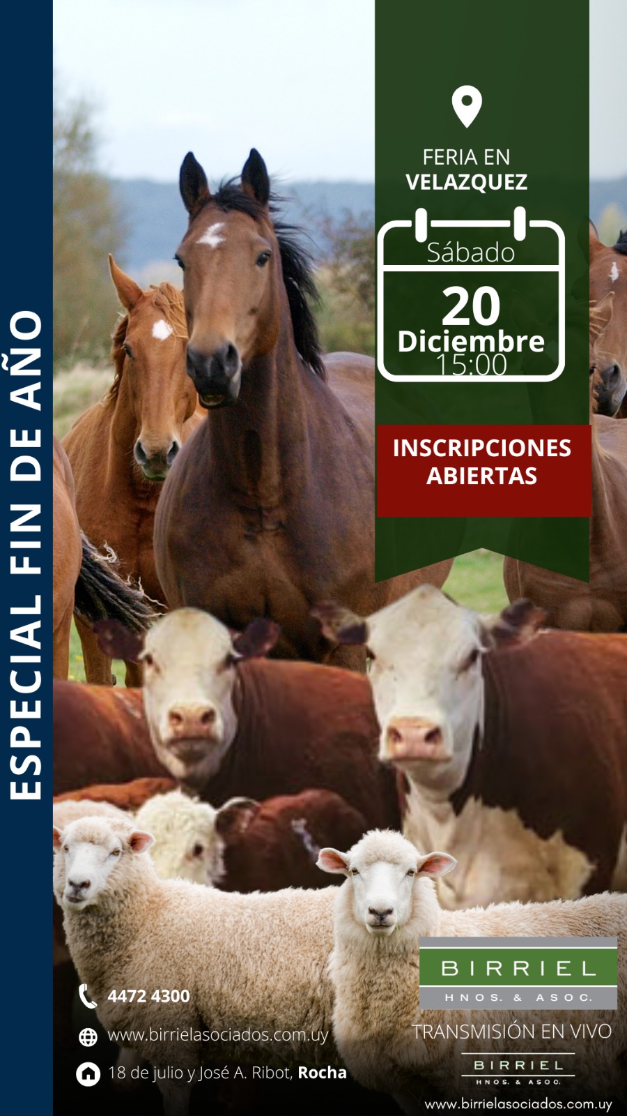 Afiche Feria en Velázquez 