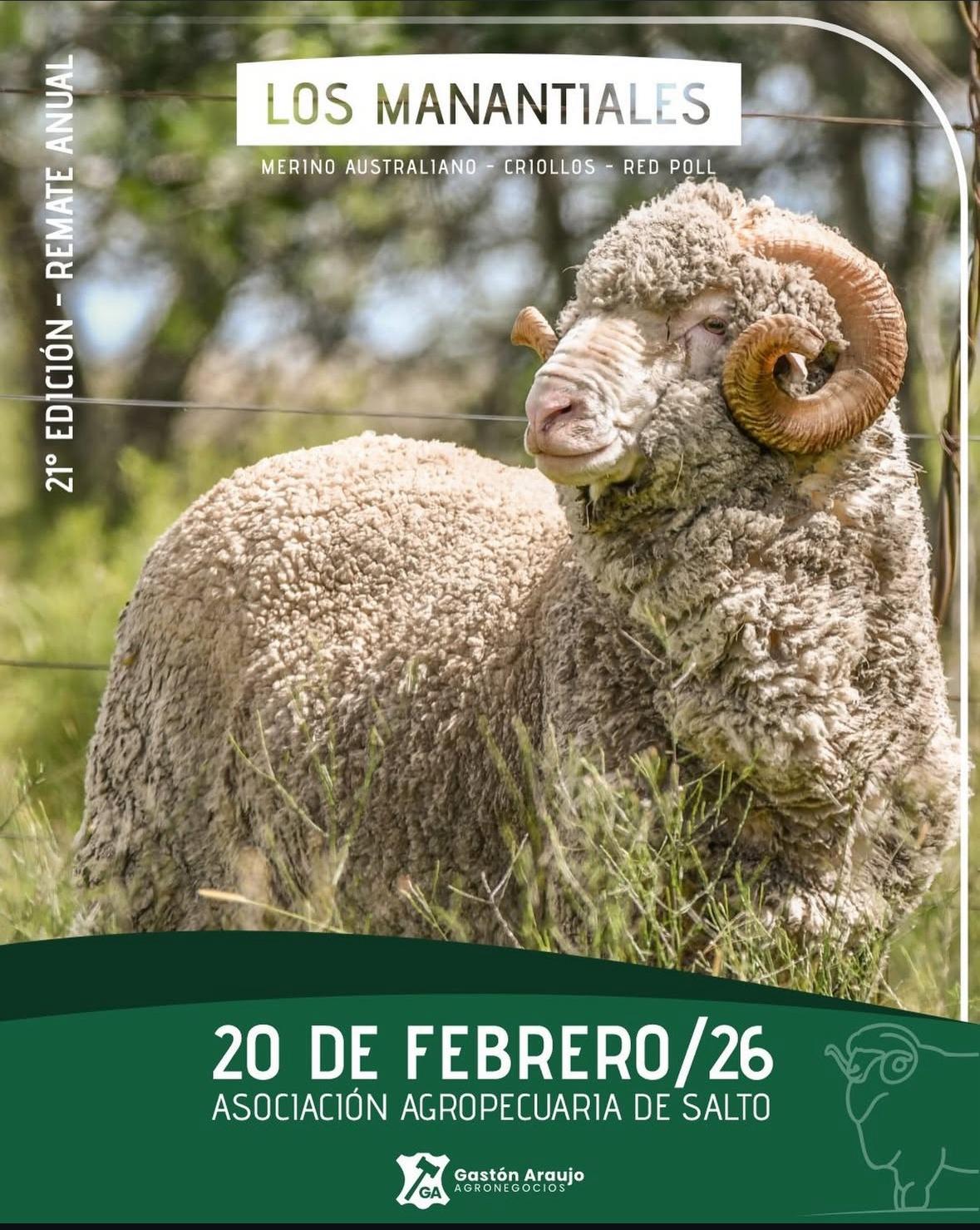 Remate 21º Edicion - Los Manantiales