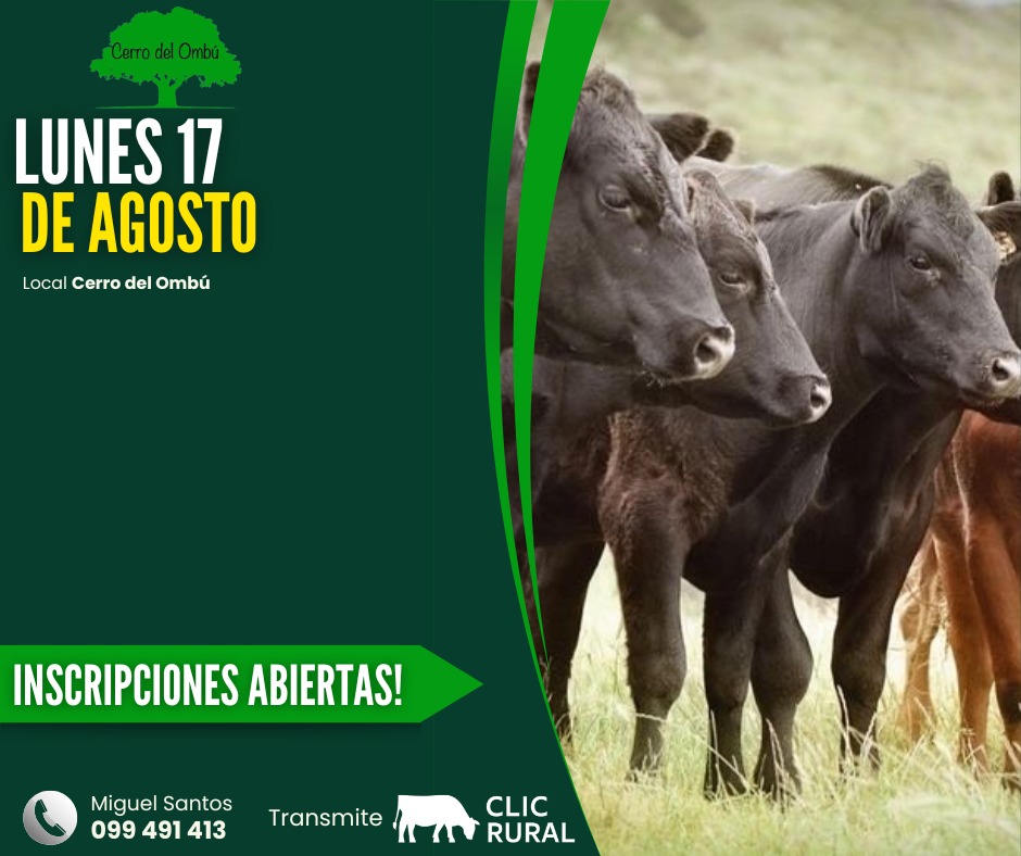 Remate Feria mensual - Cerro del Ombu