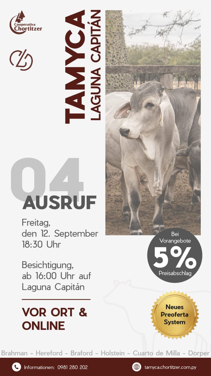 Afiche 04 Ausruf - Tamyca Chortitzer