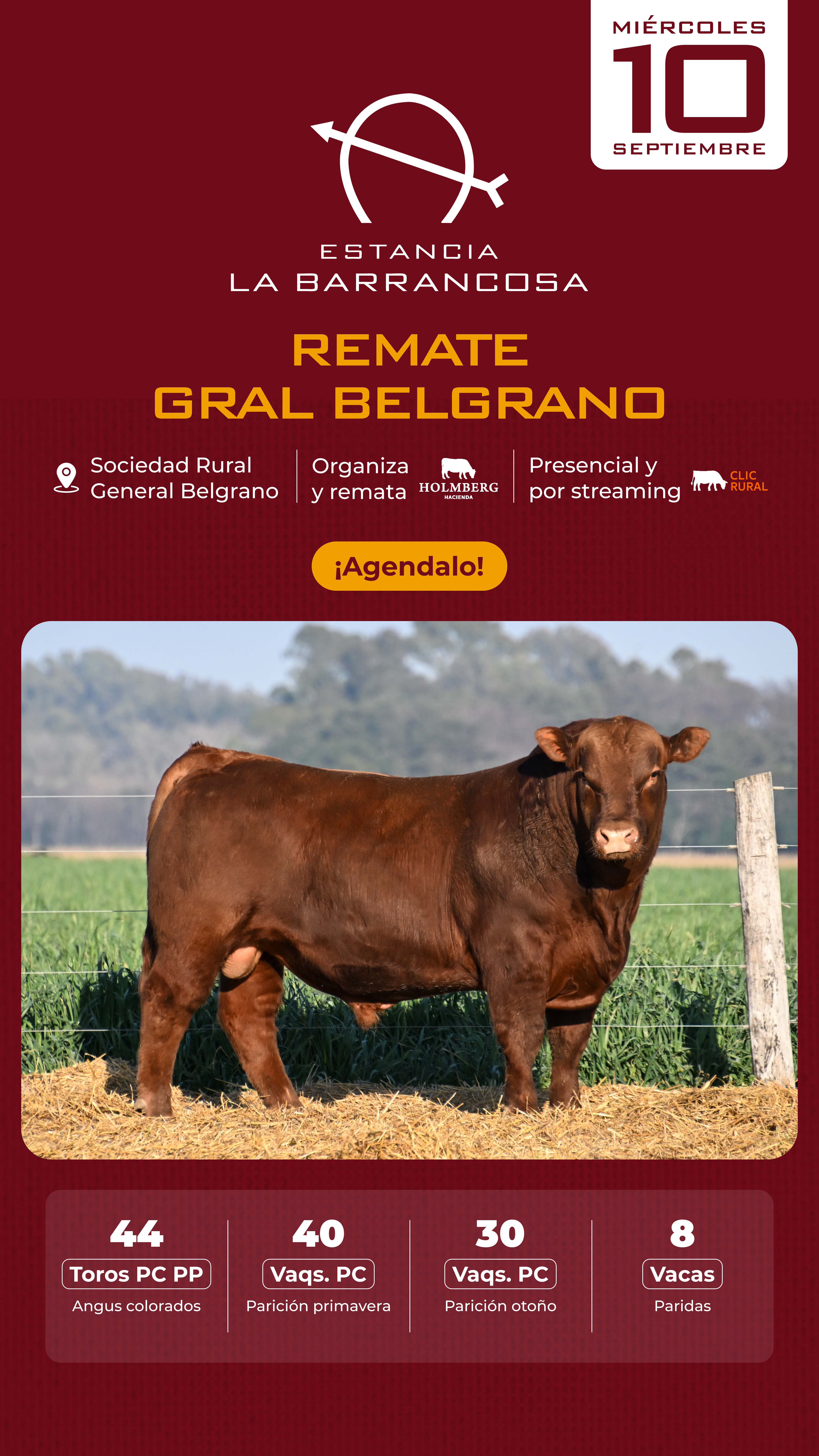 Remate 2do Remate La Barrancosa en General Belgrano