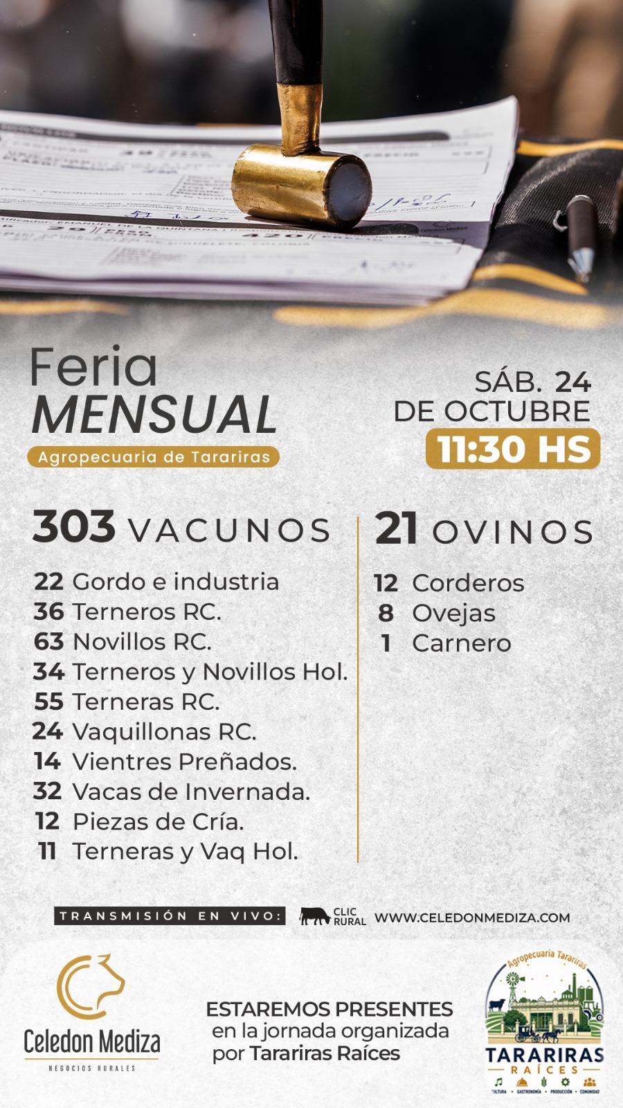 Afiche Feria mensual - Celedon Mediza