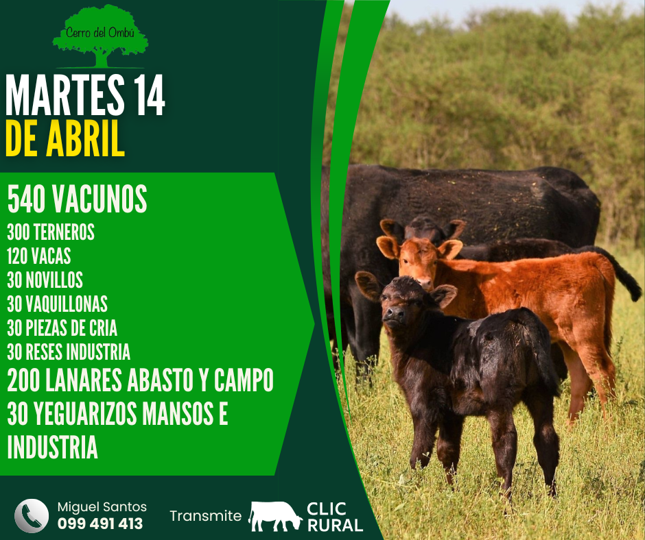 Remate Feria Mensual - Cerro del Ombu