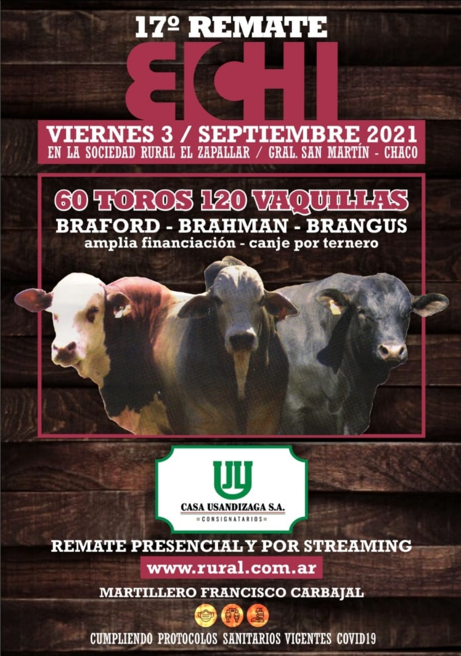 Afiche 17° Remate ECHI