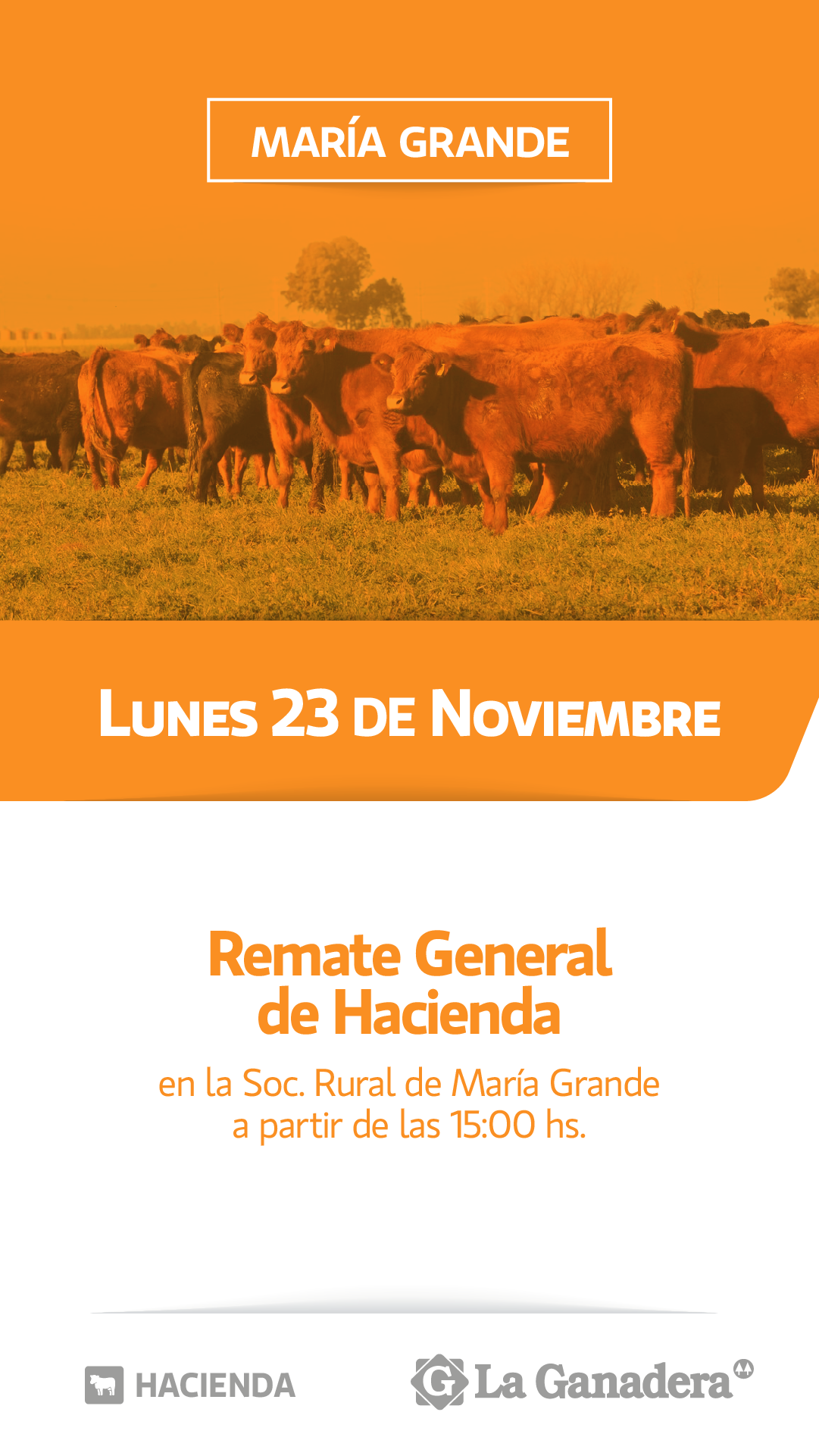 Afiche REMATE FERIA EN SOCIEDAD RURAL MARÍA GRANDE
