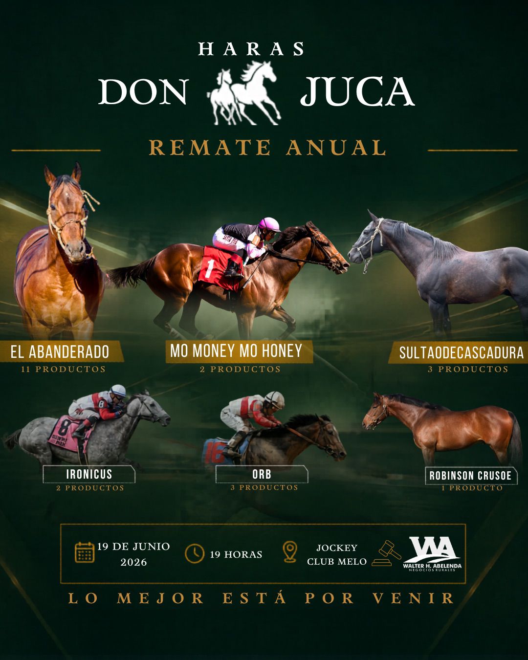 Haras Don Juca