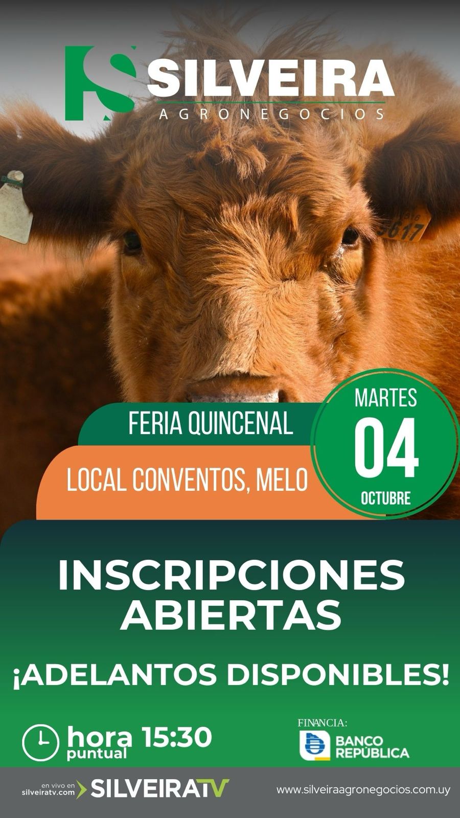 Feria Quincenal