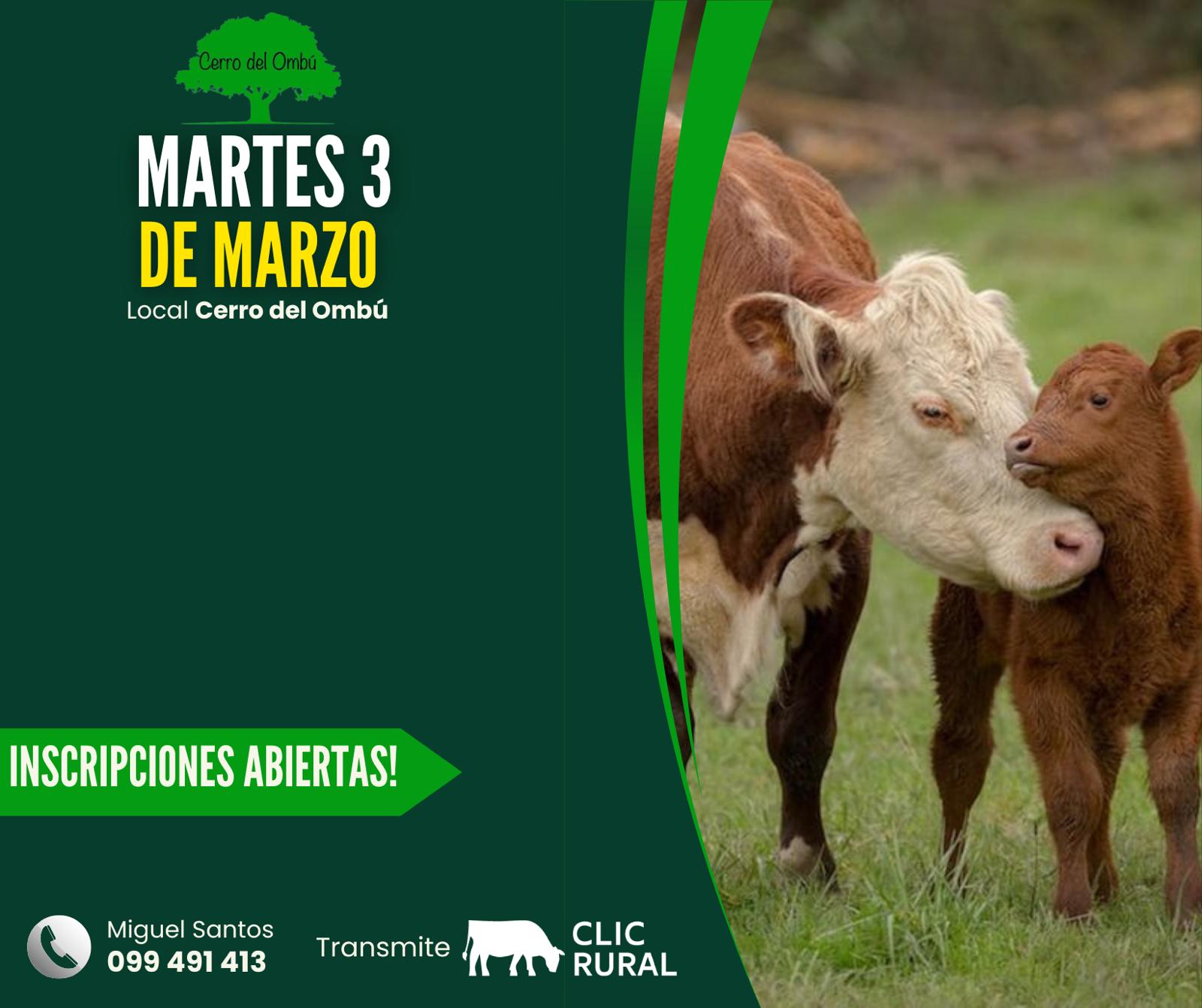 Remate Feria Mensual - Cerro del Ombu