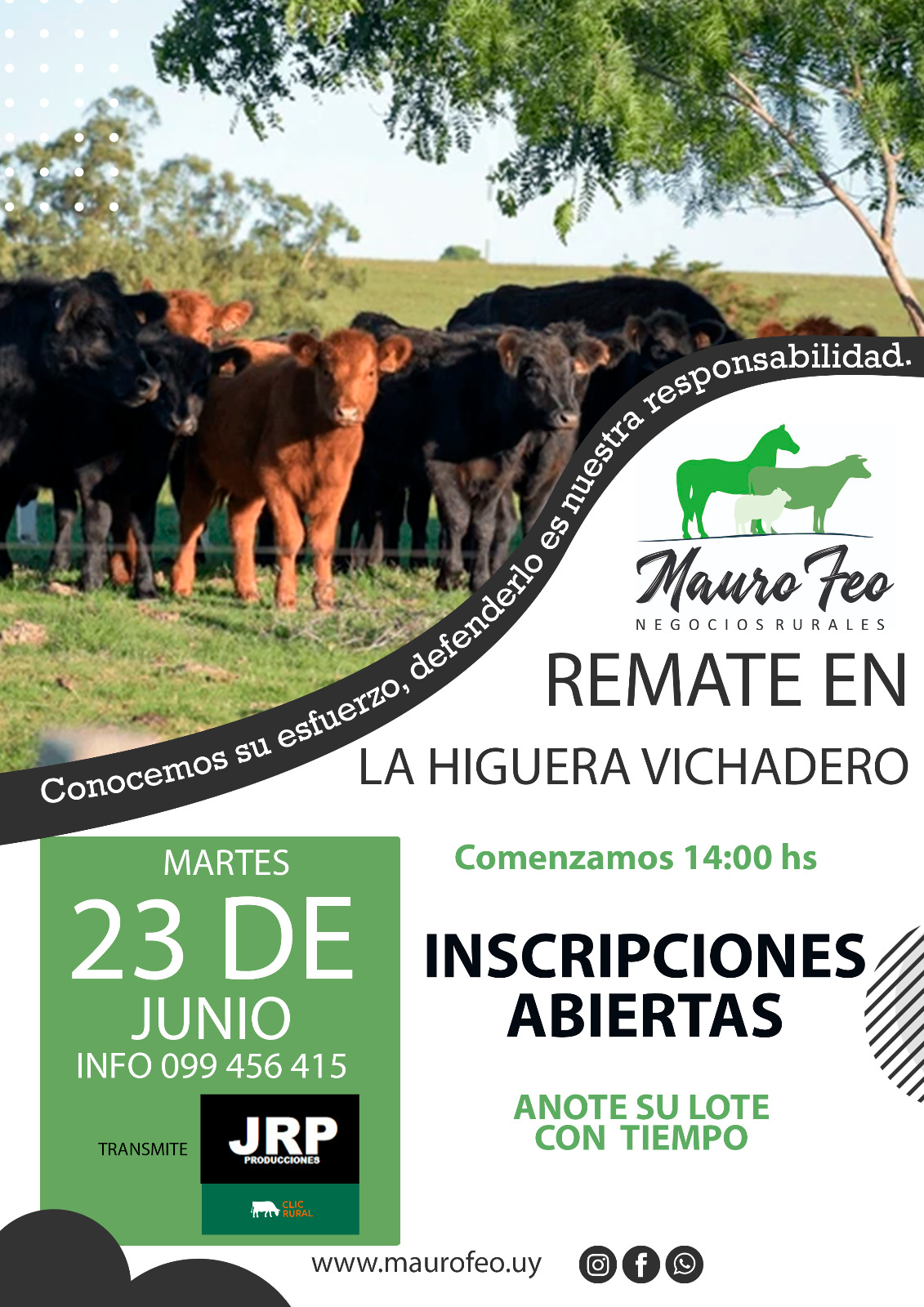 Remate Feria mensual - La Higuera