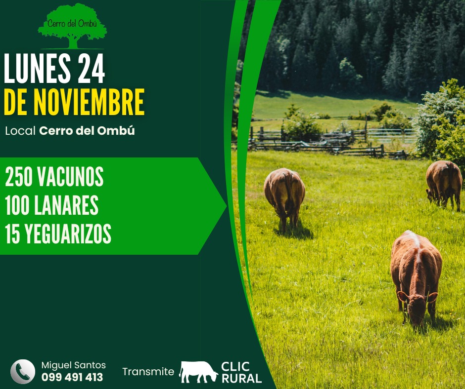 Afiche Feria Mensual - Cerro del Ombu