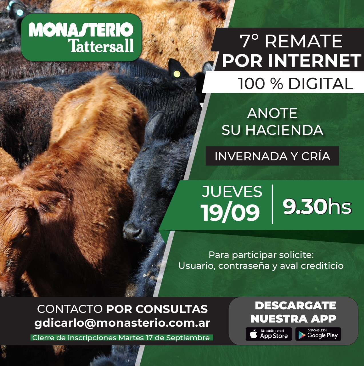 Remate 7º Remate por Internet