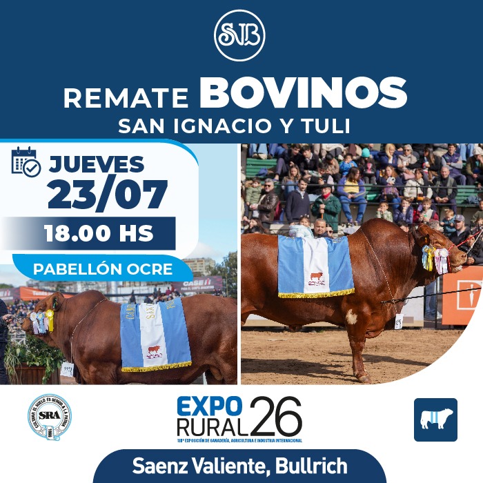 Bovinos - San Ignacio y Tuli