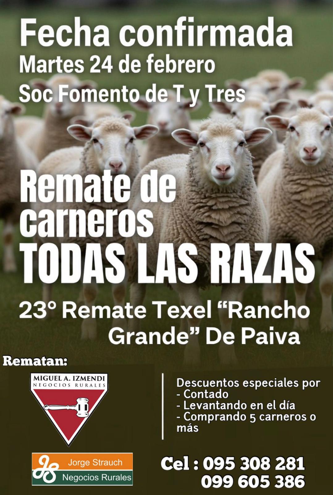 Remate 23° Remate Texel "Rancho Grande" de Paiva