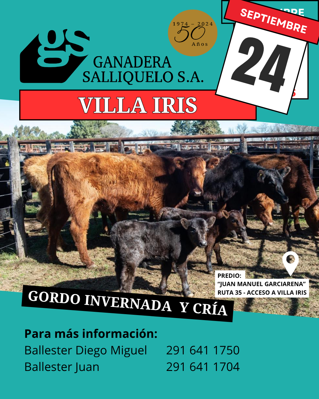 Remate 24 de Septiembre - Villa Iris